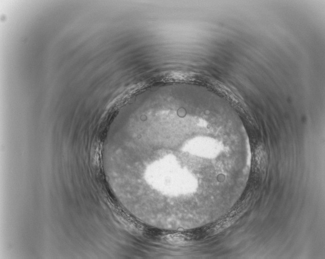 X0000086880423200705141415