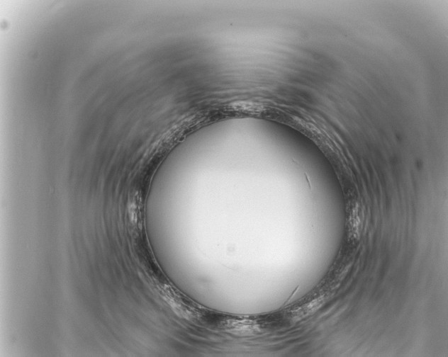 X0000086880424200705141415