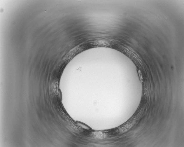 X0000086880425200705141415