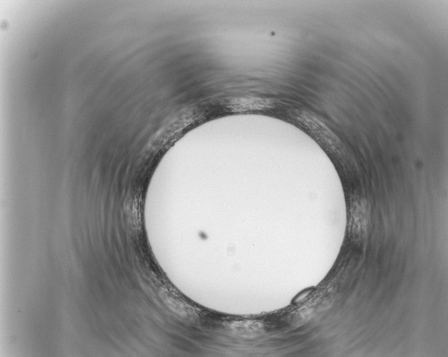 X0000086880426200705141415