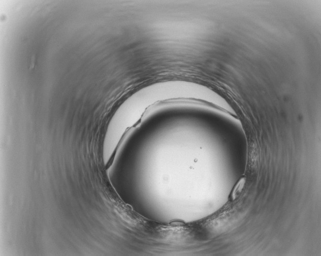 X0000086880428200705141415