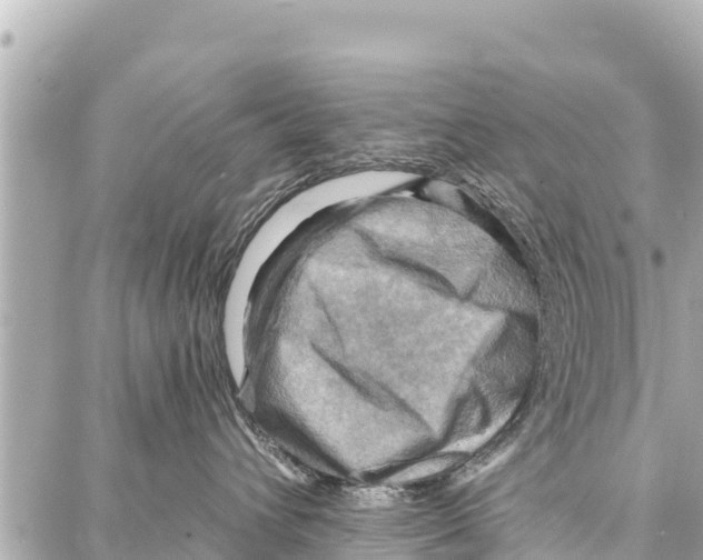 X0000086880432200705141415