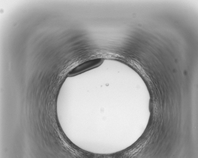 X0000086880433200705141414