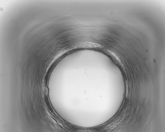 X0000086880435200705141414