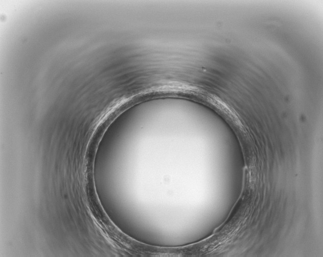 X0000086880436200705141414