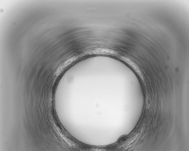 X0000086880437200705141414