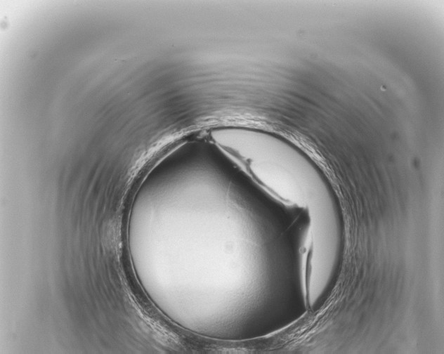 X0000086880438200705141414