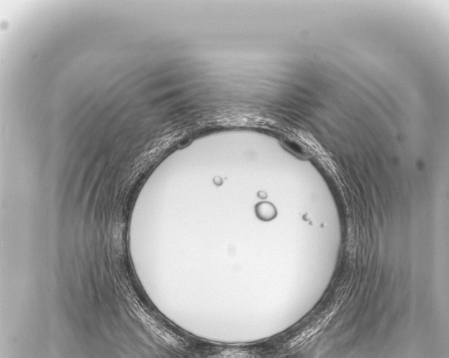 X0000086880441200705141414