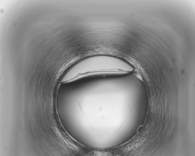 X0000086880442200705141414