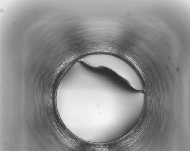 X0000086880443200705141414