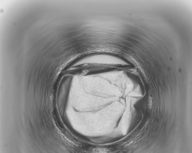 X0000086880444200705141414