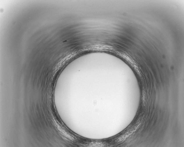 X0000086880445200705141414