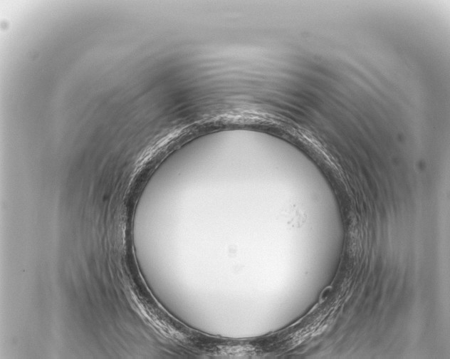 X0000086880446200705141414