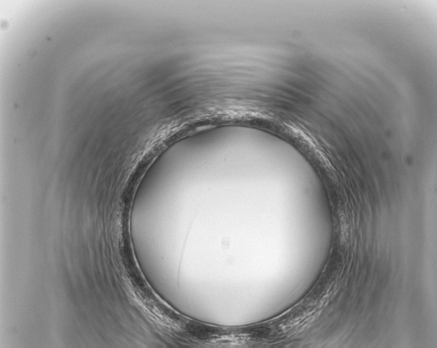 X0000086880447200705141414