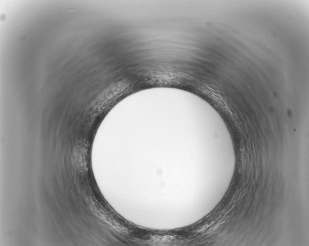 X0000086880450200705141414