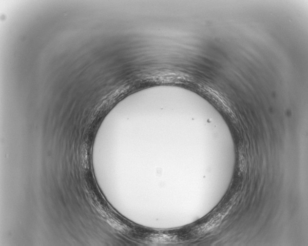 X0000086880453200705141414