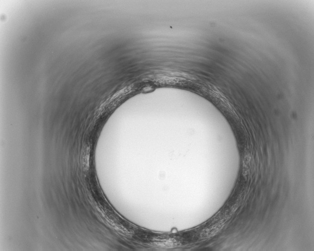 X0000086880454200705141414