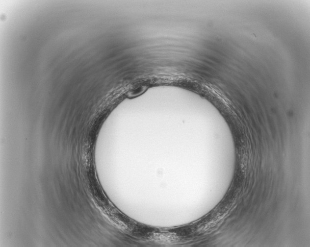 X0000086880455200705141414