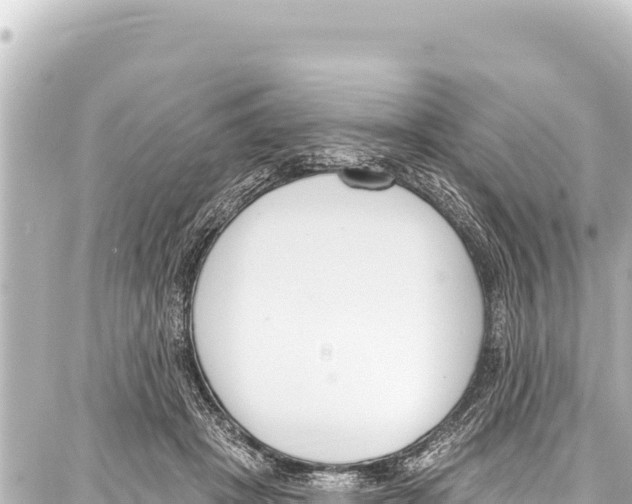 X0000086880457200705141414