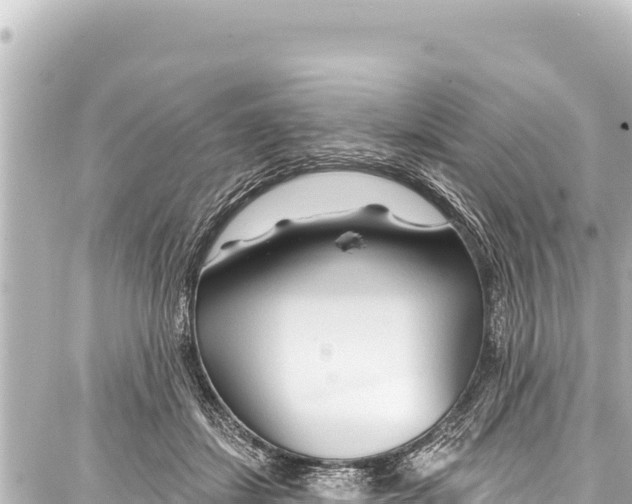 X0000086880459200705141414