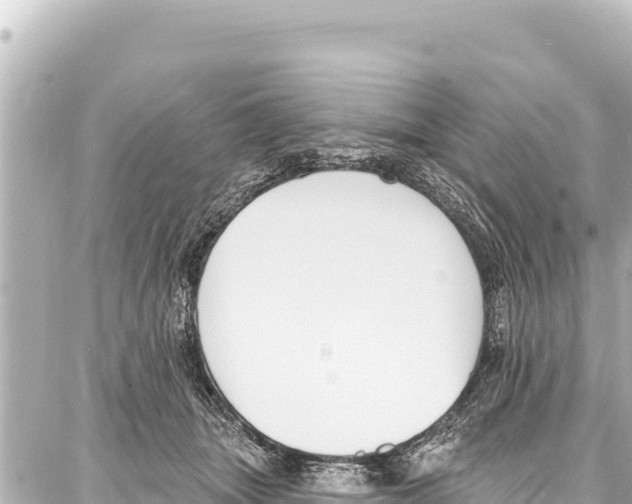 X0000086880463200705141415