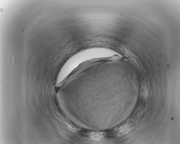 X0000086880465200705141415