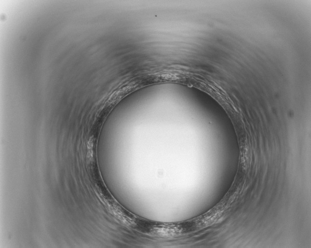 X0000086880466200705141415