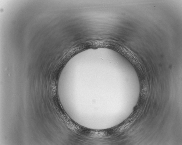 X0000086880469200705141415