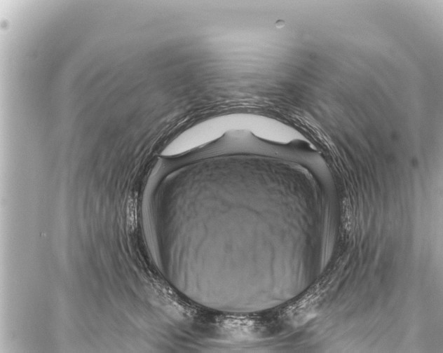 X0000086880471200705141415