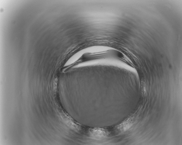 X0000086880475200705141415