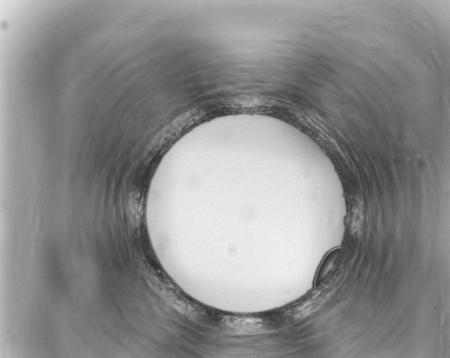 X0000086880476200705141415