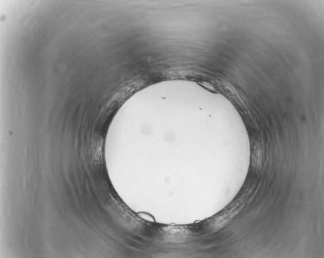 X0000086880477200705141415