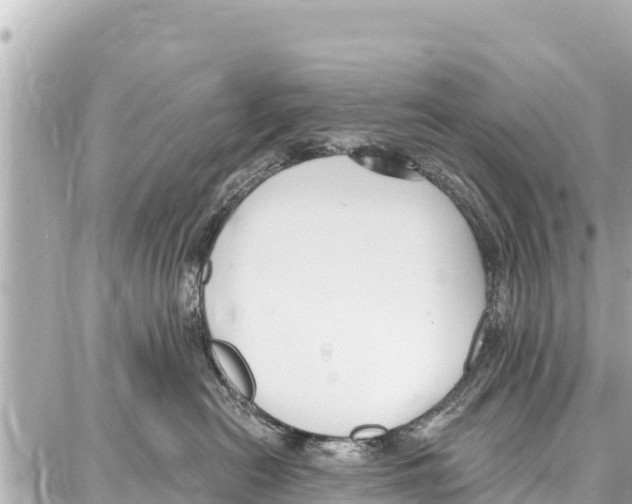 X0000086880478200705141415