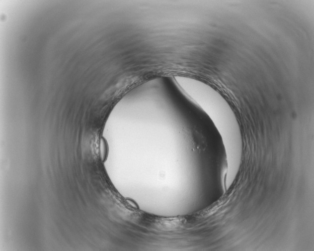 X0000086880479200705141415