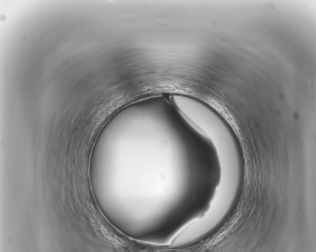 X0000086880481200705141414