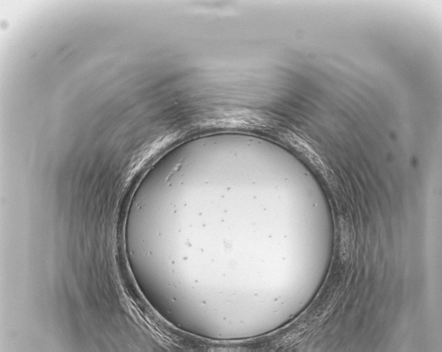 X0000086880482200705141414