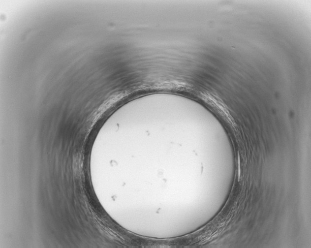 X0000086880483200705141414