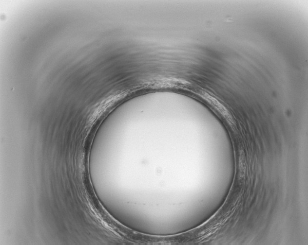 X0000086880485200705141414