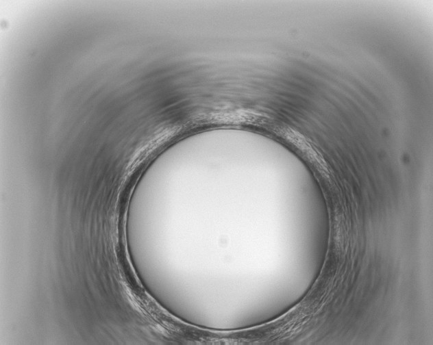 X0000086880486200705141414