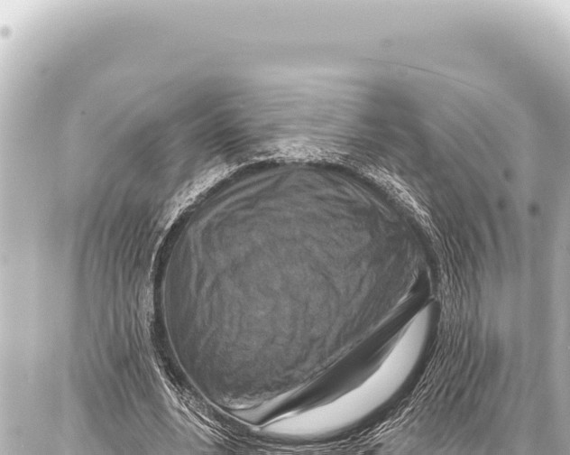 X0000086880488200705141414