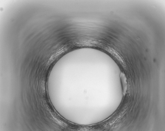 X0000086880489200705141414