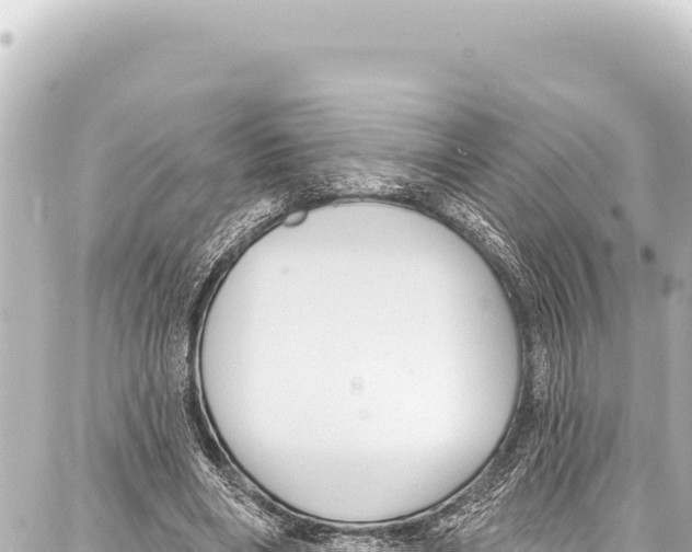 X0000086880490200705141414