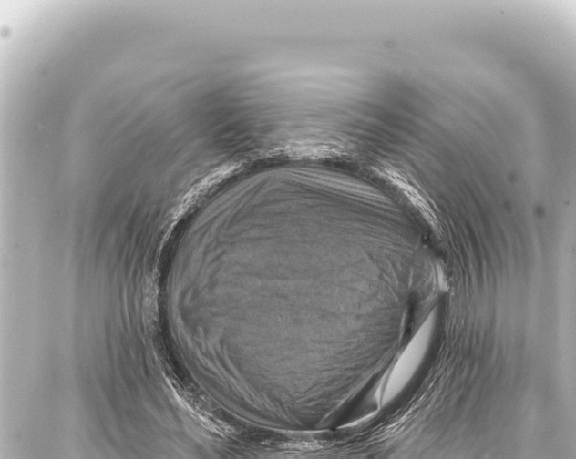 X0000086880492200705141414