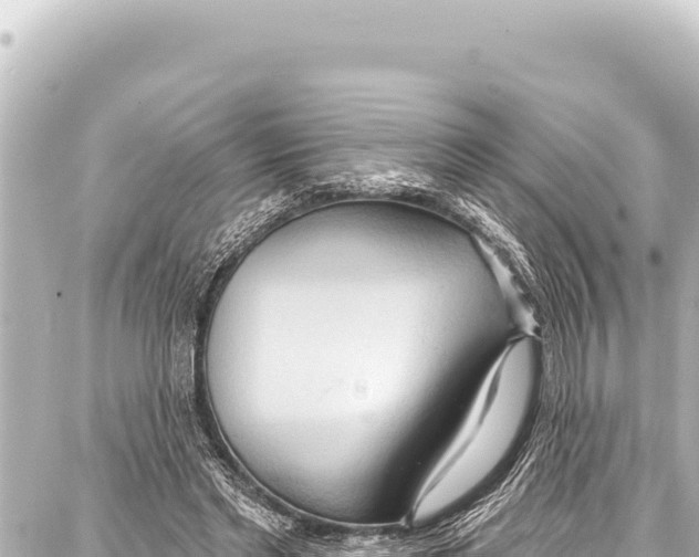 X0000086880493200705141414