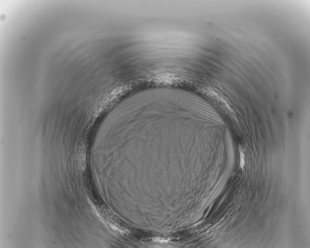 X0000086880496200705141414