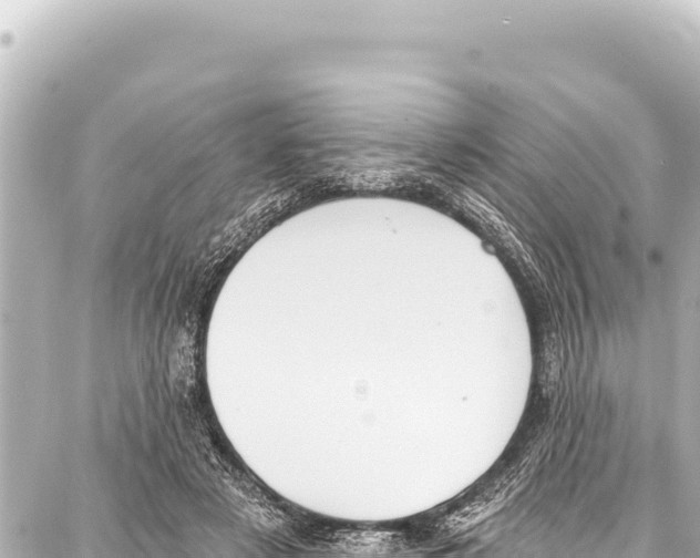 X0000086880497200705141414