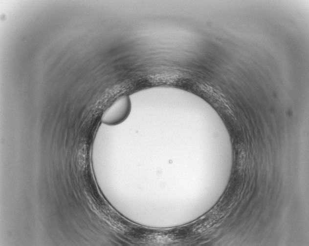 X0000086880498200705141414