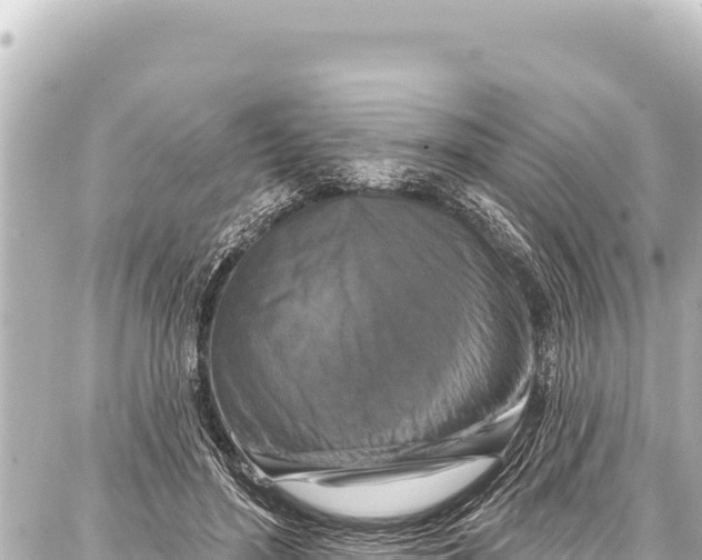 X0000086880500200705141414