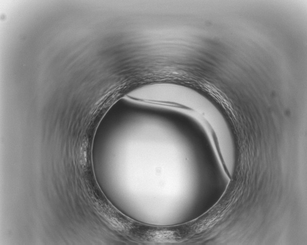 X0000086880501200705141414