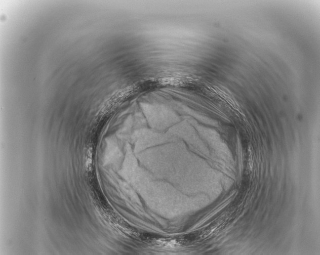 X0000086880502200705141414